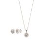 Set plata flores brillantes