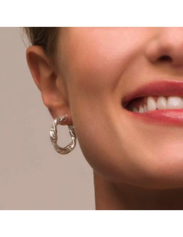 Pendientes Greca Plata