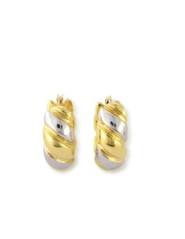 Pendientes Pluma Dorada y Plateada