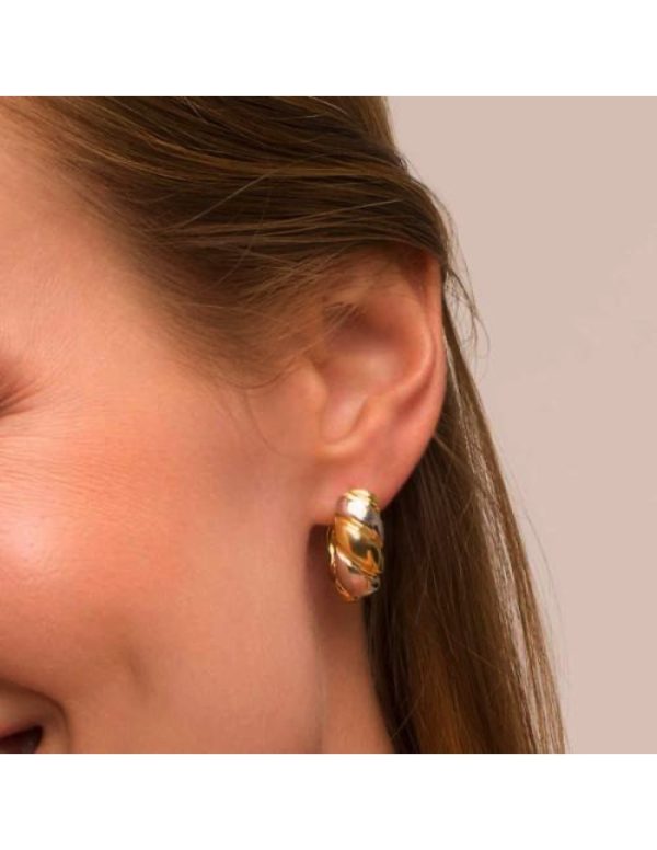 Pendientes Pluma Dorada y Plateada